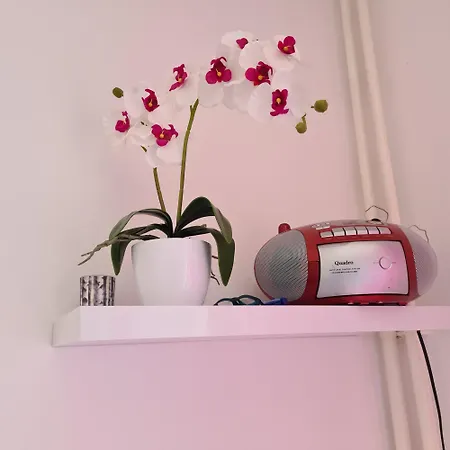 Apartment Aurora Rijeka